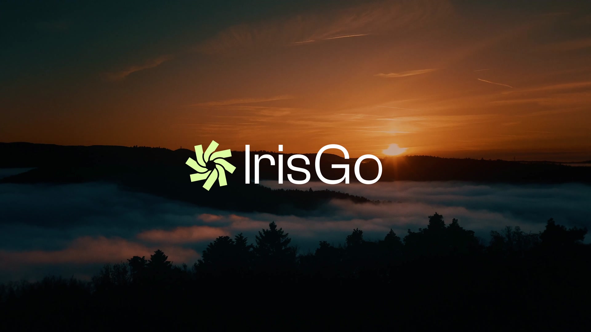IrisGo dashboard demo showing weather, stocks, news, and calendar in action